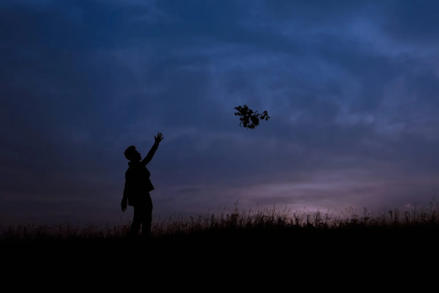 Letting Go of the ‘Shoulds’: Releasing Unrealistic Expectations in Mental Health and Life
