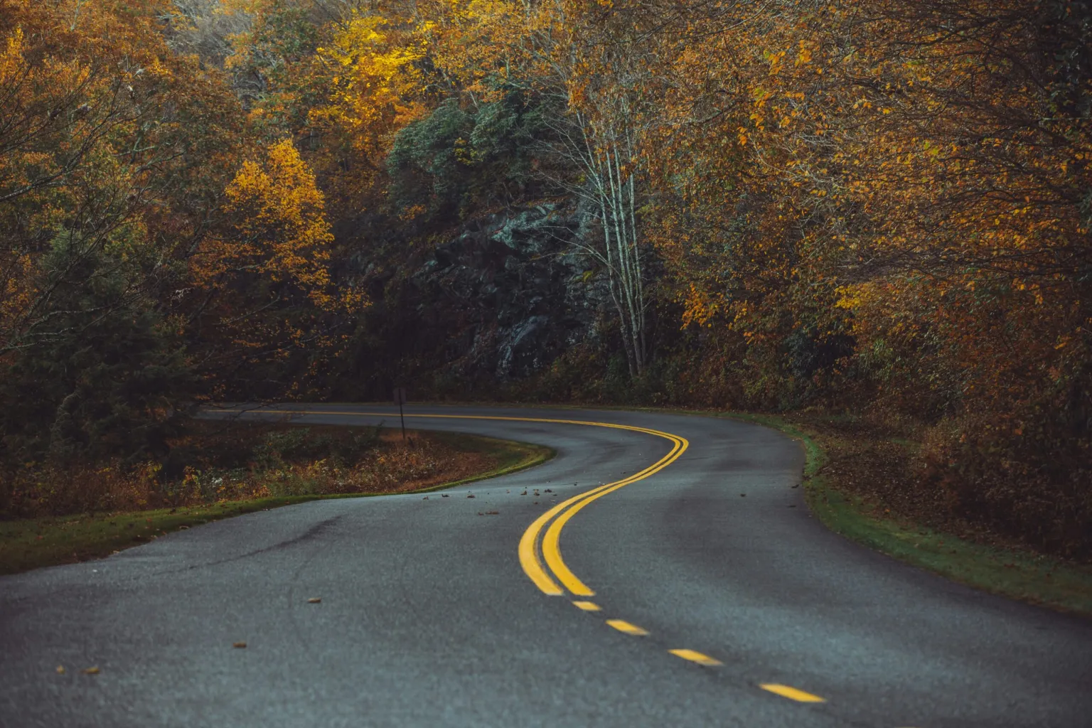 Healing Isn’t Linear—And That’s Okay